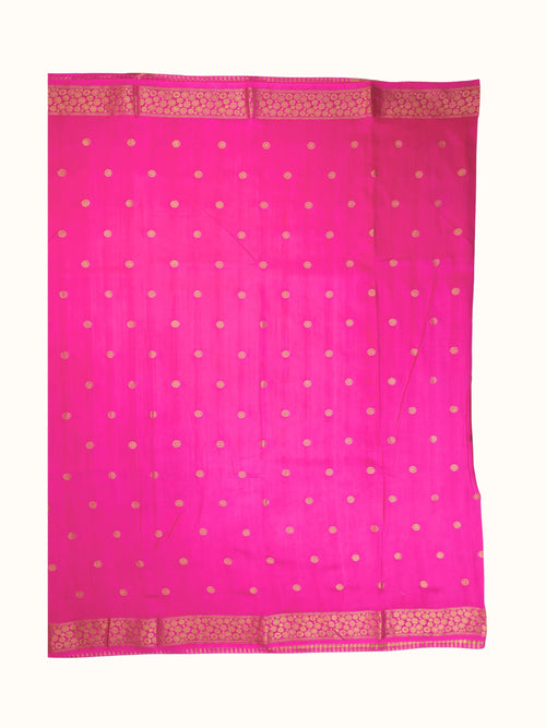 The saree spread flat, gold coins in even rows across the body